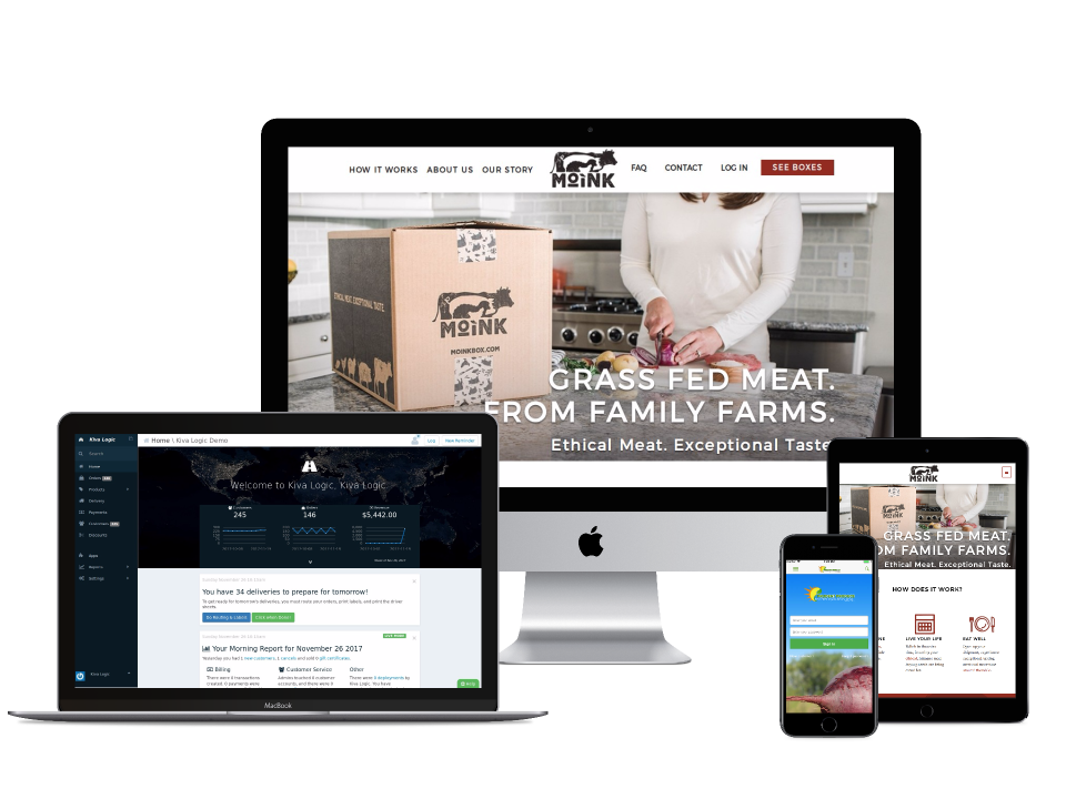 screenshot of Kiva Logic